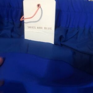 Skies Are Blue Women's Blue Shorts